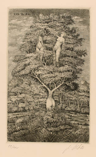 Exlibris by J Vlach from Czech Republic for Dr. Peter Labuhn - Woman Mythology Tree 