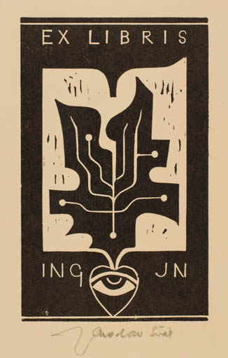 Exlibris by Jaroslav Svab from Czech Republic for Ing. J. N. - Abstract Flora 