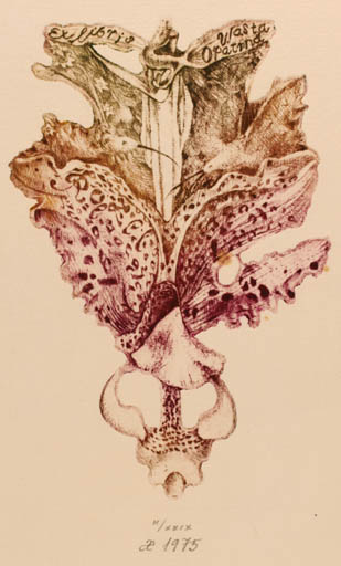 Exlibris by Michaela Lesarova-Roubickova from Czech Republic for Vlasta Opatrna - Flower Bird 