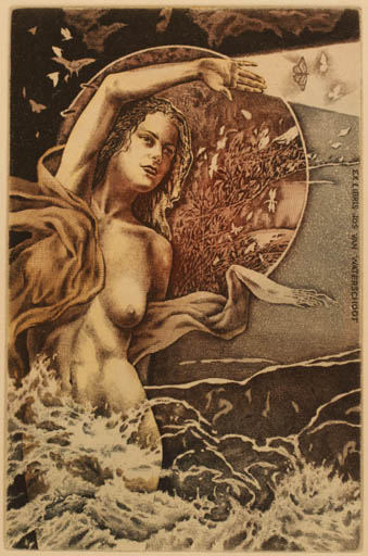 Exlibris by Hristo Naidenov from Bulgaria for Jos van Waterschoot - Bird Woman Nude Butterfly 