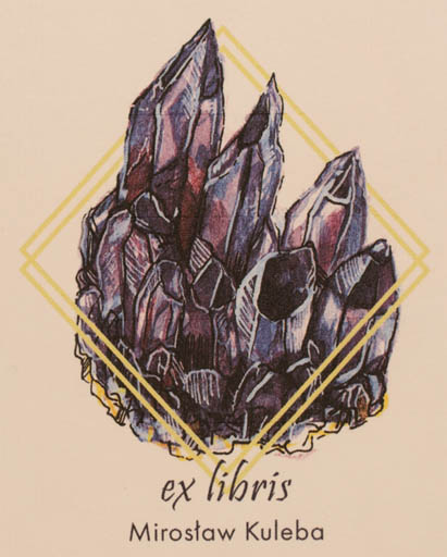 Exlibris by Ewa Ziembicka from Poland for Miroslaw Kuleba - 