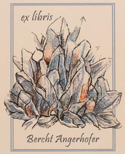 Exlibris by Ewa Ziembicka from Poland for Bercht Angerhofer - 