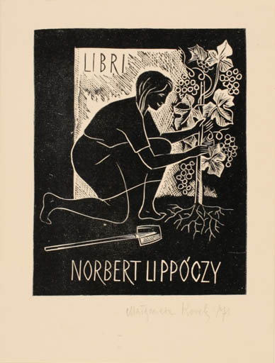 Exlibris by Malgorzata Korolko from Poland for Ing. Nobert Lippóczy - Woman Wine 