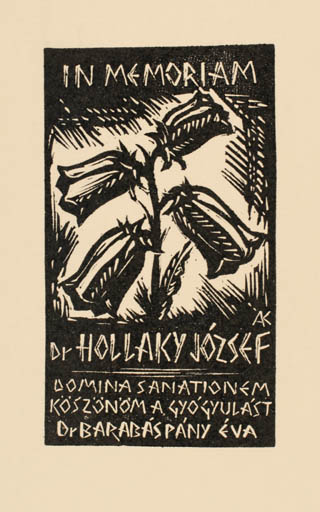 Exlibris by Kàroly Andrusko from Yugoslavia for Dr. Pany Eva Barabas - Flower Flora 