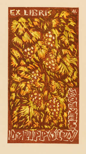 Exlibris by Kàroly Andrusko from Yugoslavia for Dr. Nicholas Lippoczy - Flora Wine 