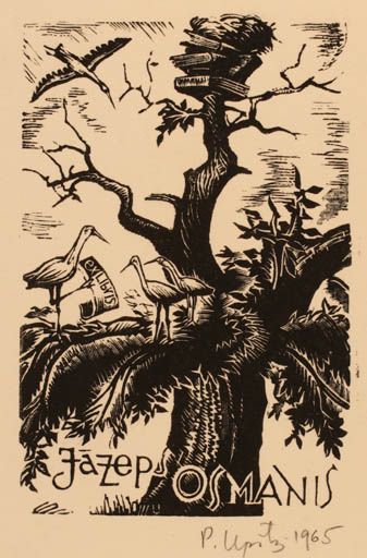 Exlibris by Peteris Upitis from Latvia for Jazep Osanis - Bird Tree 