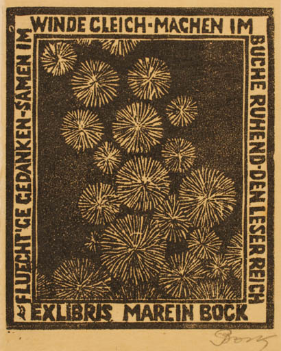 Exlibris by ? ? from Austria for Marein Bock - 