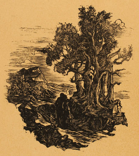 Exlibris by ? Unbekannt from Unknown for ? Freie Graphik - Scenery/Landscape Tree 