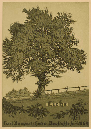 Exlibris by ? ? from Unknown for Carl Bandert - Tree 