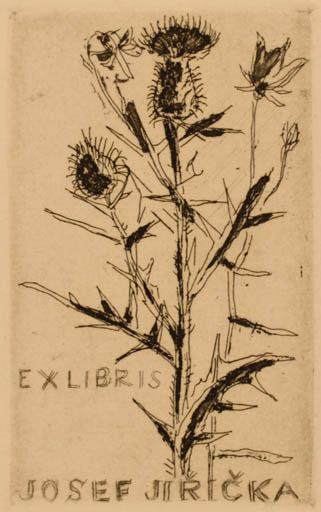 Exlibris by ? Unbekannt from Unknown for Josef Jiricka - Flora 